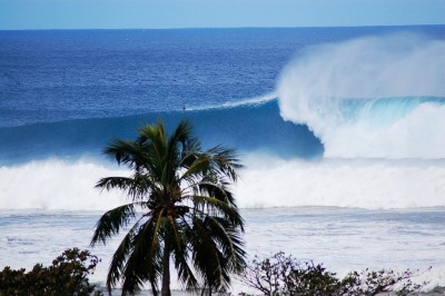 Tres Palmas was better organized than the day before.